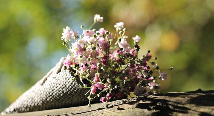 mothers day flowers