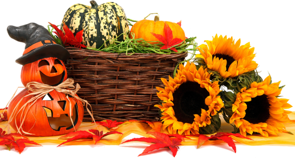 pumpkin, basket and flowers