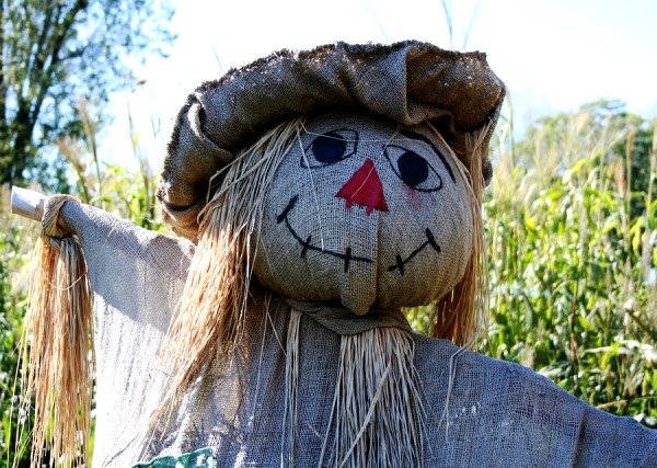 A Scarecrow