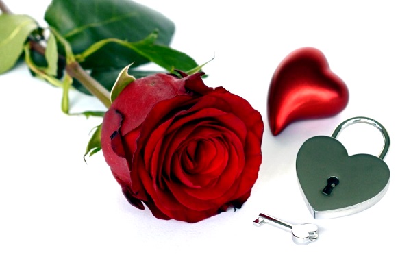 Roses and Locket