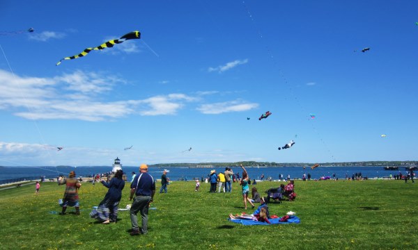 Kite Flying