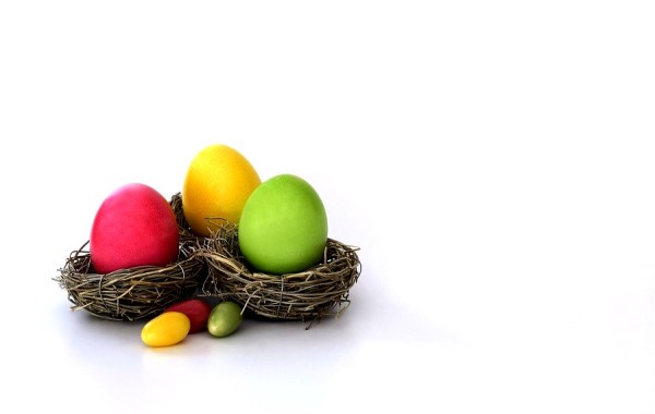 Easter Egg Nest