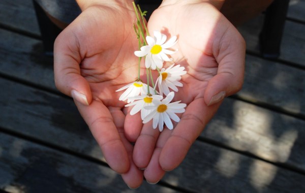 Giving Flowers