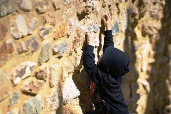 Wall Climbing Activity