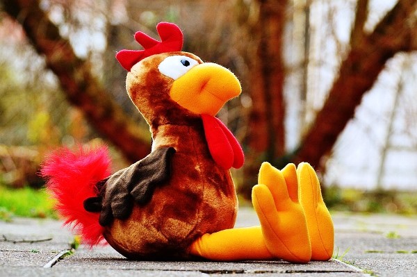 Cute Stuffed Turkey