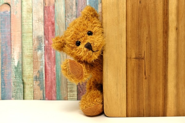 Stuffed Teddy